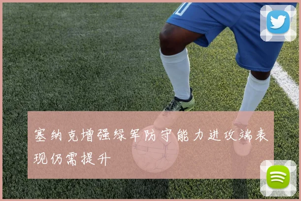 塞纳克增强绿军防守能力进攻端表现仍需提升