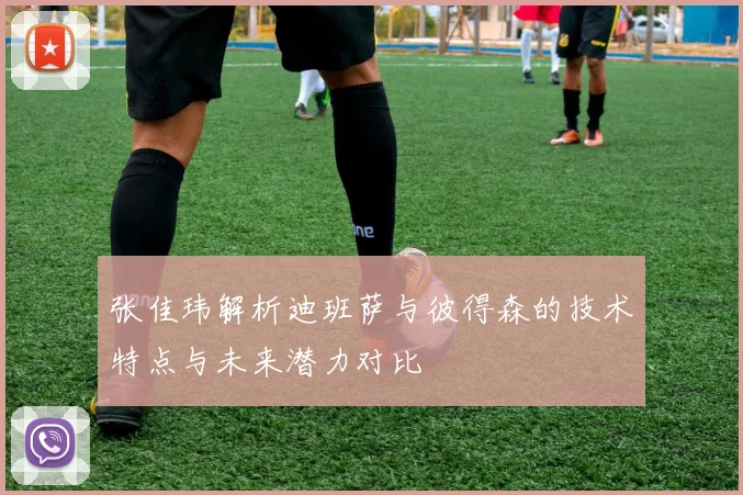 张佳玮解析迪班萨与彼得森的技术特点与未来潜力对比