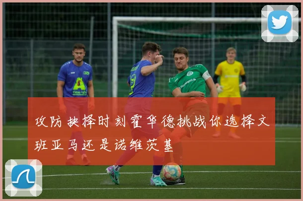 攻防抉择时刻霍华德挑战你选择文班亚马还是诺维茨基