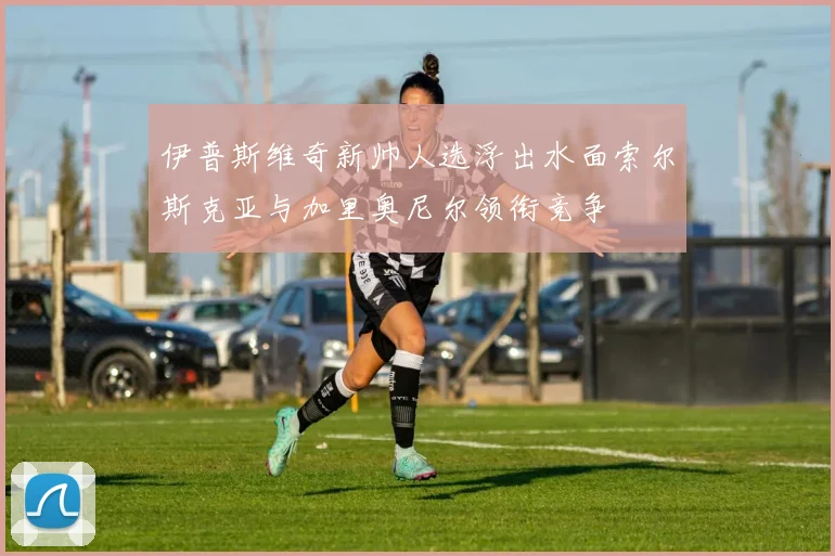 伊普斯维奇新帅人选浮出水面索尔斯克亚与加里奥尼尔领衔竞争